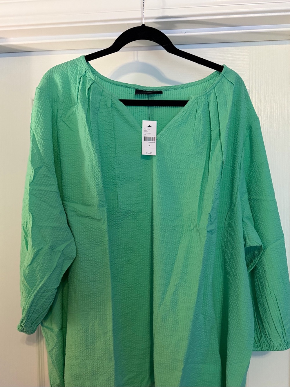 Women's Mint Green Textured Peasant Top